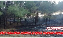 Pazarcık'ta anız yakılması sonucu alevler ormana sıçradı