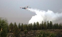 Şanlıurfa’daki orman yangını kontrol altına alındı