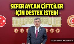 Sefer Aycan çiftçiler için destek istedi