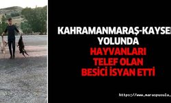 Kahramanmaraş-Kayseri yolunda hayvanları telef olan besici isyan etti