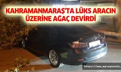 Kahramanmaraş'ta lüks aracın üzerine ağaç devrildi
