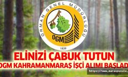 Orman Genel Müdürlüğü’nin işçi alımı başvuruları başladı