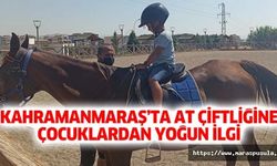 Kahramanmaraş’ta at çiftliğine çocuklardan yoğun ilgi