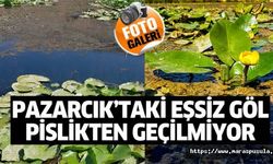 Pazarcık’taki eşsiz göl pislikten geçilmiyor