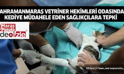 Kahramanmaraş Vetriner Hekimleri Odasından Kediye Müdahele Eden Sağlıkçılara Tepki