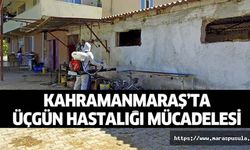 Kahramanmaraş’ta Üçgün hastalığı mücadelesi