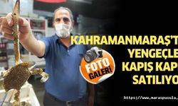 Kahramanmaraş’ta yengeçler kapış kapış satılıyor