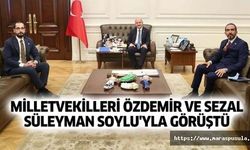 Özdemir ve Sezal Süleyman Soylu'yla görüştü
