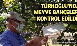 Türkoğlu’nda meyve bahçeleri kontrol edildi