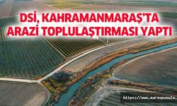 DSİ, Kahramanmaraş’ta arazi toplulaştırması yaptı