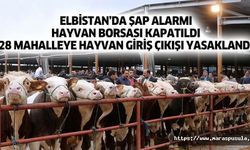 Elbistan’da şap alarmı, Hayvan borsası kapatıldı, 28 mahalleye hayvan giriş çıkışı yasaklandı
