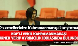 HDP’li vekil Kahramanmaraşı örnek verip ortalığı karıştırmak istedi ama cevabını aldı