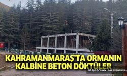 Kahramanmaraş’ta ormanın kalbine beton döktüler