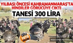 Yılbaşı öncesi Kahramanmaraş'ta hindiler görücüye çıktı