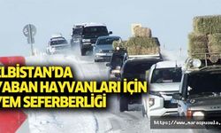 Elbistan’da yaban hayvanları için yem seferberliği