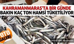 Kahramanmaraş’ta bir günde bakın kaç ton hamsi tüketiliyor