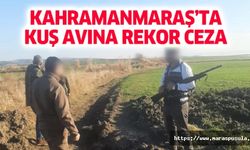 Kahramanmaraş’ta kuş avına rekor ceza
