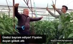 Üretici bayram ediyor, Fiyatını duyan göbek attı