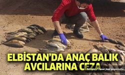 Elbistan’da anaç balık avcılarına ceza