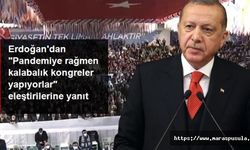Erdoğan'dan ‘kalabalık kongre’ eleştirilerine yanıt