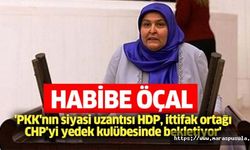 Habibe Öçal, 'PKK'nın siyasi uzantısı HDP, ittifak ortağı CHP'yi yedek kulübesinde bekletiyor'