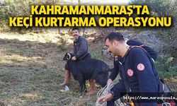 Kahramanmaraş'ta keçi kurtarma operasyonu