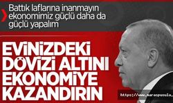 Erdoğan'dan vatandaşa altın ve döviz çağrısı, ‘Evlerdeki döviz ve altını ekonomiye kazandırın’