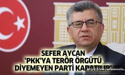Sefer Aycan, ‘PKK'ya terör örgütü diyemeyen parti kapatılır’
