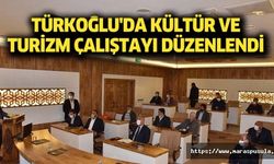 Türkoğlu'da kültür ve turizm çalıştayı düzenlendi