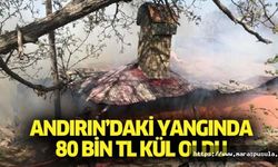 Andırın’daki yangında 80 bin TL kül oldu