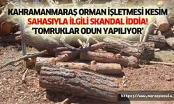 Kahramanmaraş Orman İşletmesi kesim sahasıyla ilgili skandal iddia, ‘Tomruklar odun yapılıyor’