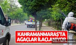 Kahramanmaraş’ta ağaçlar ilaçlanıyor