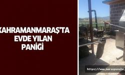 Kahramanmaraş’ta evde yılan paniği