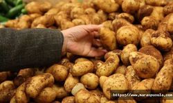 Patatesin fiyatı yüzde 45 arttı