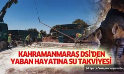 Kahramanmaraş DSİ’den yaban hayatına su takviyesi