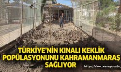 Türkiye’nin kınalı keklik popülasyonunu Kahramanmaraş sağlıyor