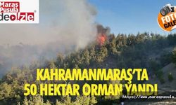 Kahramanmaraş’ta 50 hektar orman yandı