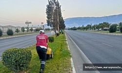 Kahramanmaraş'ta Yeşil Alanlarda Bakım Çalışması