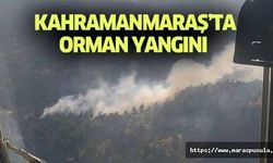 Kahramanmaraş’ta orman yangını