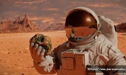NASA, Mars simülasyonunda yaşayacak insanlar arıyor, Başvurular başladı