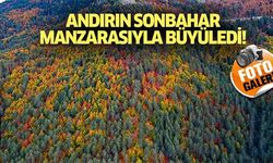 Andırın, sonbahar manzarasıyla büyüledi!