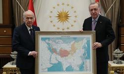 Erdoğan ve Bahçeli'nin verdiği poz 2 ülkeyi rahatsız etti