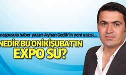 Ayhan Gedik ‘Nedir bu Onikişubat’ın Expo su?’