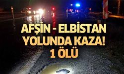 Afşin Elbistan Yolunda Kaza, 1 ölü