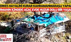 Herkes hayalini kurar Kahramanmaraşlı yapar! Ormanın içindeki ağaç evde huzur dolu bir yaşam