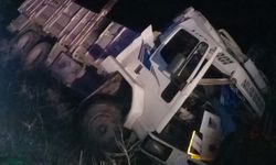 Yoldan çıkan kamyon devrildi: 1 yaralı