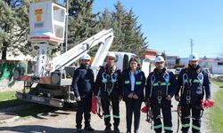 Kahramanmaraş'ta elektrikçi ailenin kızıydı, şimdi elektrik dağıtım şirketinin şefliğini yapıyor