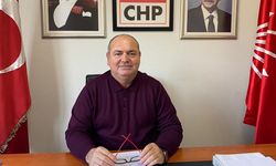CHP'li Demir: Zeytinlikler Türkiye'nin ekonomi anahtarı!