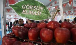 Kahramanmaraş'ta "8. Tarım, Gıda ve Hayvancılık Fuarı" sona erdi