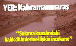 Kahramanmaraş'ta sulama kanalındaki balık ölümlerine ilişkin inceleme başlatıldı